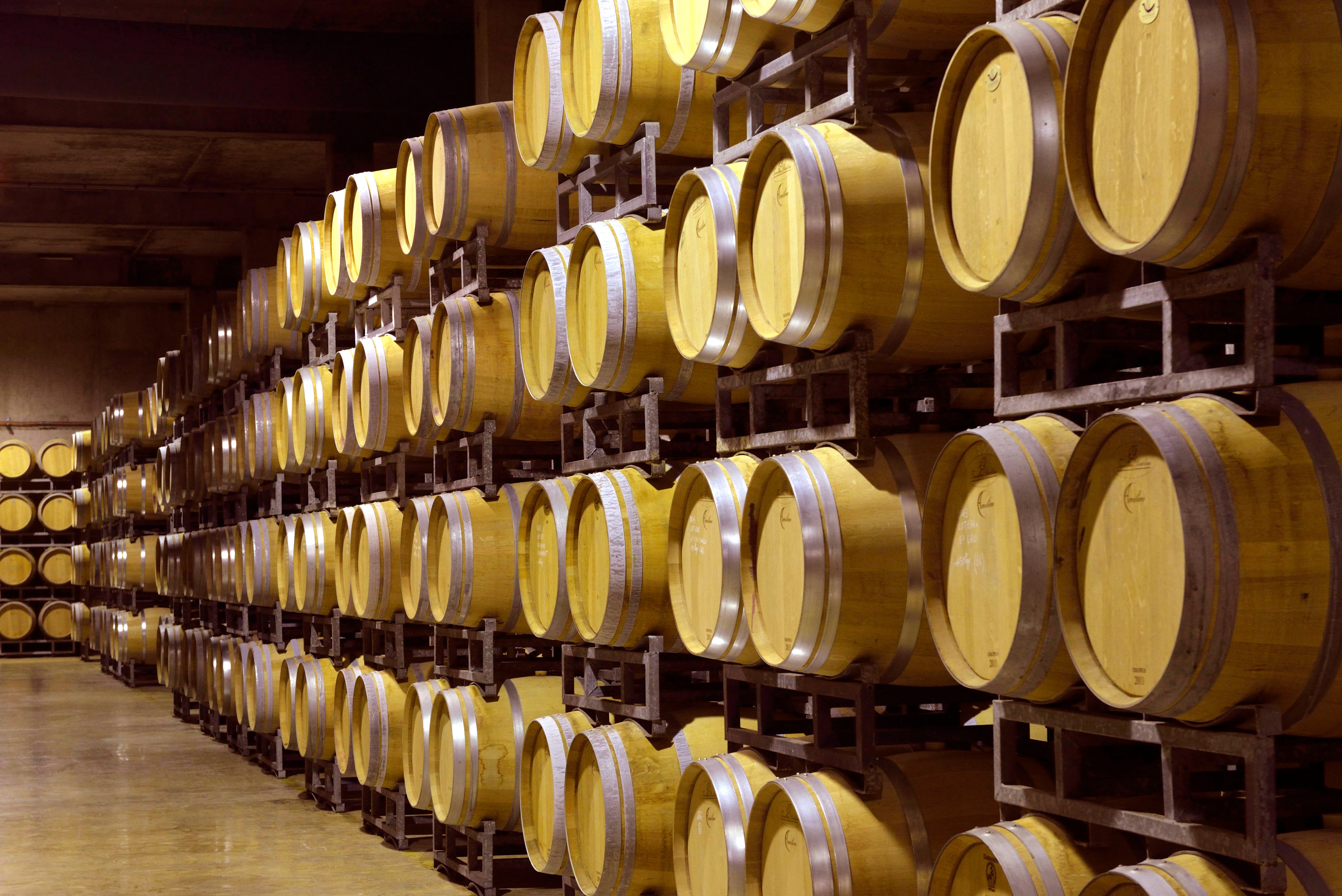 Visite-dégustation 3 vins